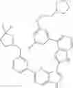 Fig. 868 - 3-(1H-pyrrolo[2,3-C]pyridin-2-yl)-1 H-pyrazolo[4,3-B]pyridines and therapeutic uses thereof