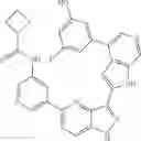 Fig. 907 - 3-(1H-pyrrolo[2,3-C]pyridin-2-yl)-1 H-pyrazolo[4,3-B]pyridines and therapeutic uses thereof