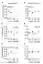 Fig. 01 - Methods for treating diseases related to mitochondrial stress