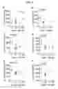 Fig. 06 - Methods for treating diseases related to mitochondrial stress