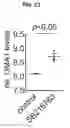 Fig. 24 - Methods for treating diseases related to mitochondrial stress
