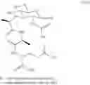 Fig. 09 - Muramyl peptide derivative compound, synthesis and uses thereof