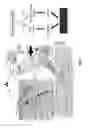 Fig. 02 - Therapy for Lower Urinary Tract Dysfunctions