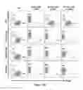 Fig. 06 - Methods and compositions for chimeric antigen receptor targeting cancer cells