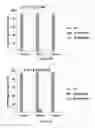 Fig. 13 - Methods and compositions for chimeric antigen receptor targeting cancer cells