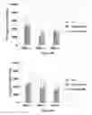 Fig. 14 - Methods and compositions for chimeric antigen receptor targeting cancer cells