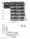 Fig. 20 - Methods and compositions for chimeric antigen receptor targeting cancer cells