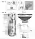 Fig. 02 - Antimicrobial constructs and uses thereof