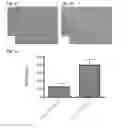 Fig. 03 - Modulating the alternative complement pathway