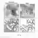Fig. 07 - NSP4 inhibitors and methods of use
