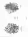 Fig. 08 - NSP4 inhibitors and methods of use