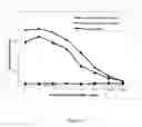 Fig. 09 - Antibody specific to , therapeutic method and detection method using same