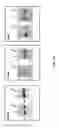 Fig. 02 - ENHANCED PROTEIN PRODUCTION AND METHODS THEREOF