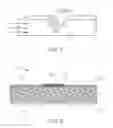 Fig. 06 - METHOD FOR MANUFACTURING A MICROBIAL DETECTION DEVICE, MICROBIAL DETECTION METHOD, MICROBIAL DETECTION KIT, AND MICROBIAL DETECTION DEVICE