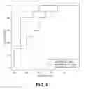 Fig. 07 - Methods and systems for analysis of organ transplantation