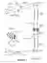 Fig. 02 - Proliferated thread count of a woven textile by simultaneous insertion within a single pick insertion event of a loom apparatus multiple adjacent parallel yarns drawn from a multi-pick yarn package