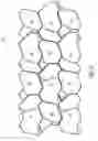 Fig. 16 - Dual-unit paving system