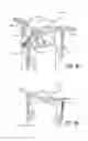Fig. 08 - Automated construction of towers and columns