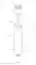 Fig. 02 - Unseating tool for downhole standing valve