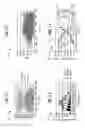 Fig. 07 - Method of performing a perforation using selective stress logging