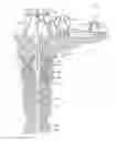 Fig. 01 - Fluid saturated formation core sampling tool