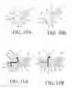 Fig. 09 - Method of Controlling the Temperature of Oil for Vehicle Powertrain