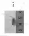 Fig. 09 - SYRINGE ACTUATION SYSTEM