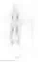 Fig. 02 - SEALING STRUCTURE OF PLUNGER PUMP
