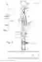 Fig. 06 - Pipeline insertion apparatus and method