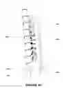 Fig. 35 - Luminous fluid sculptures