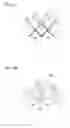 Fig. 07 - Vehicle lamp