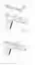 Fig. 03 - FIREARM INSERT