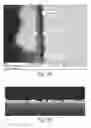 Fig. 23 - Fluorescent dye films for detecting NOx-based explosives in the air, in solutions, and from wipe samples