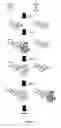 Fig. 05 - COMPOSITIONS FOR MULTIPLEX IMAGING USING LABELED NUCLEIC ACID IMAGING AGENTS