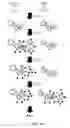 Fig. 08 - COMPOSITIONS FOR MULTIPLEX IMAGING USING LABELED NUCLEIC ACID IMAGING AGENTS