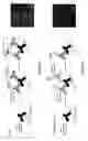 Fig. 18 - COMPOSITIONS FOR MULTIPLEX IMAGING USING LABELED NUCLEIC ACID IMAGING AGENTS
