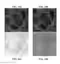 Fig. 23 - COMPOSITIONS FOR MULTIPLEX IMAGING USING LABELED NUCLEIC ACID IMAGING AGENTS