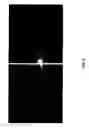 Fig. 07 - ANTIBODY AND ANTIBODY MIMETIC FOR VISUALIZATION AND ABLATION OF ENDOGENOUS PROTEINS