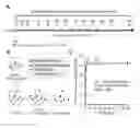 Fig. 01 - Method for the Determination of Biomolecule Turnover Rates