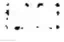 Fig. 07 - Method for the Determination of Biomolecule Turnover Rates