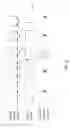 Fig. 07 - Enabling a trigger in a test and measurement instrument