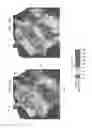 Fig. 06 - Automatic quality control of seismic travel time