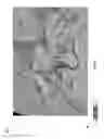 Fig. 06 - 3D blending and illumination of seismic volumes for automatic derivation of discontinuities