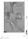 Fig. 07 - 3D blending and illumination of seismic volumes for automatic derivation of discontinuities