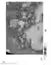 Fig. 08 - 3D blending and illumination of seismic volumes for automatic derivation of discontinuities