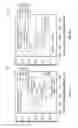 Fig. 19 - Formation acoustic property measurement with beam-angled transducer array