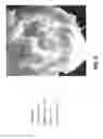 Fig. 07 - Local weather forecast