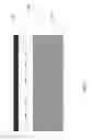 Fig. 28 - Optical waveguide, fabrication methods, and applications