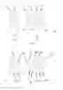 Fig. 19 - Zoom lens system