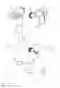 Fig. 02 - Remotely operated mobile robot and robot control system